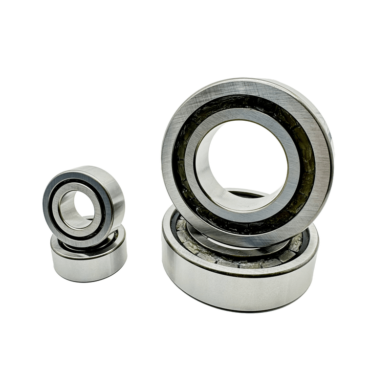 Cylindrical roller bearings SL series